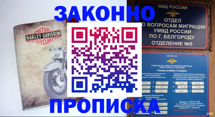 прописка для школы в Адыгейске